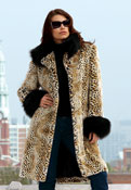 Fabulous Furs image